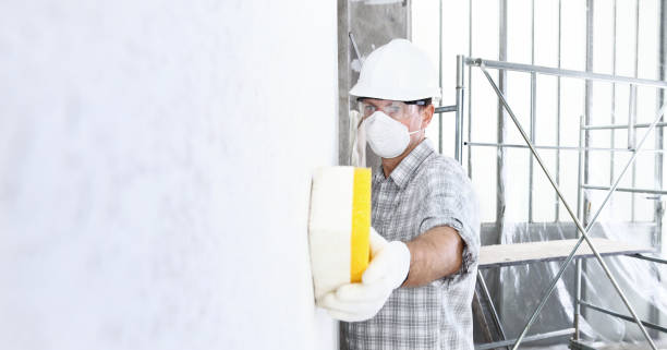 Best Commercial Mold Inspection in Charlotte Hall, MD